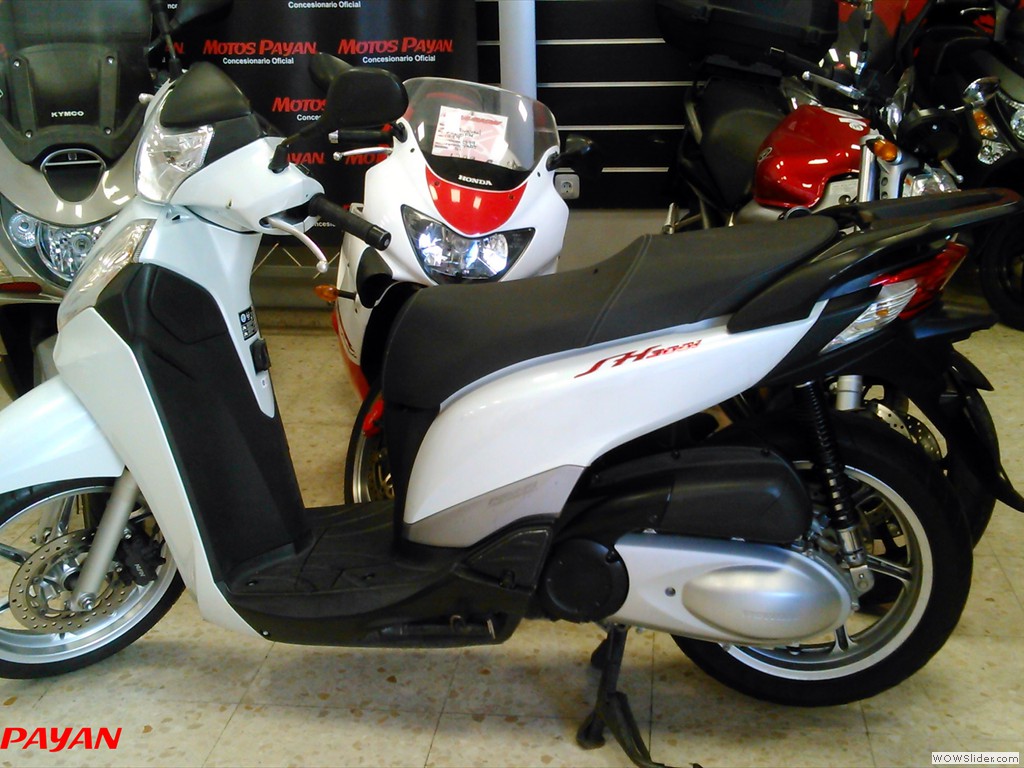 GARANTIA Y TRANSFERENCIA INCLUIDA