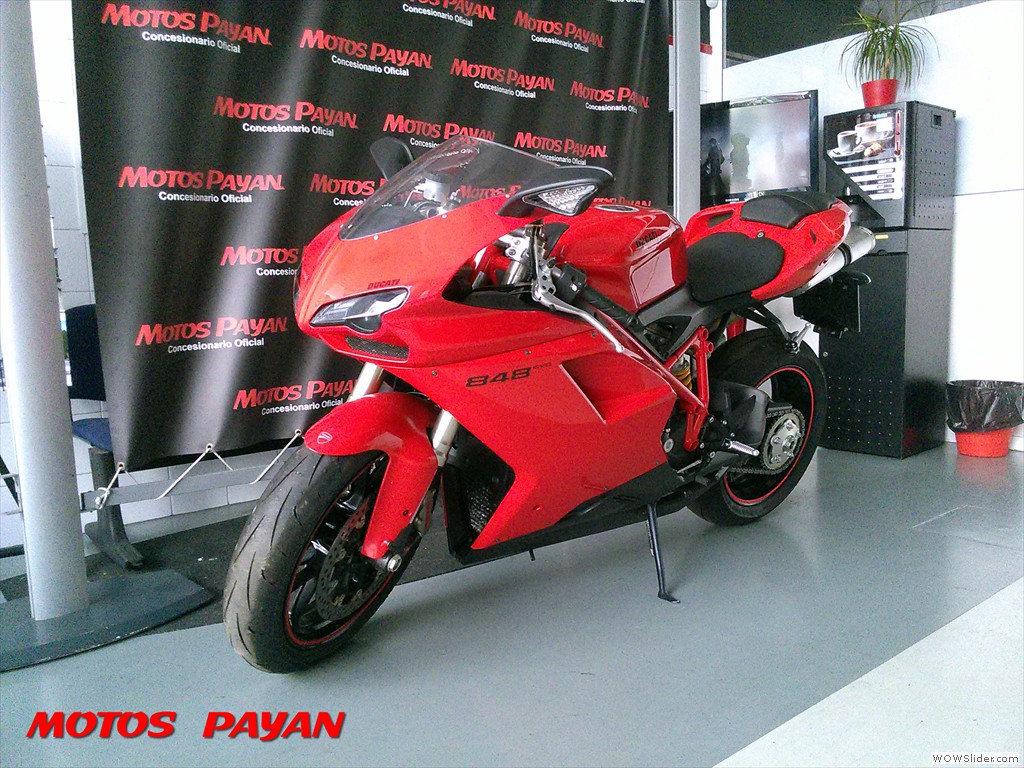 - TRANSFERENCIA INCLUIDA - 